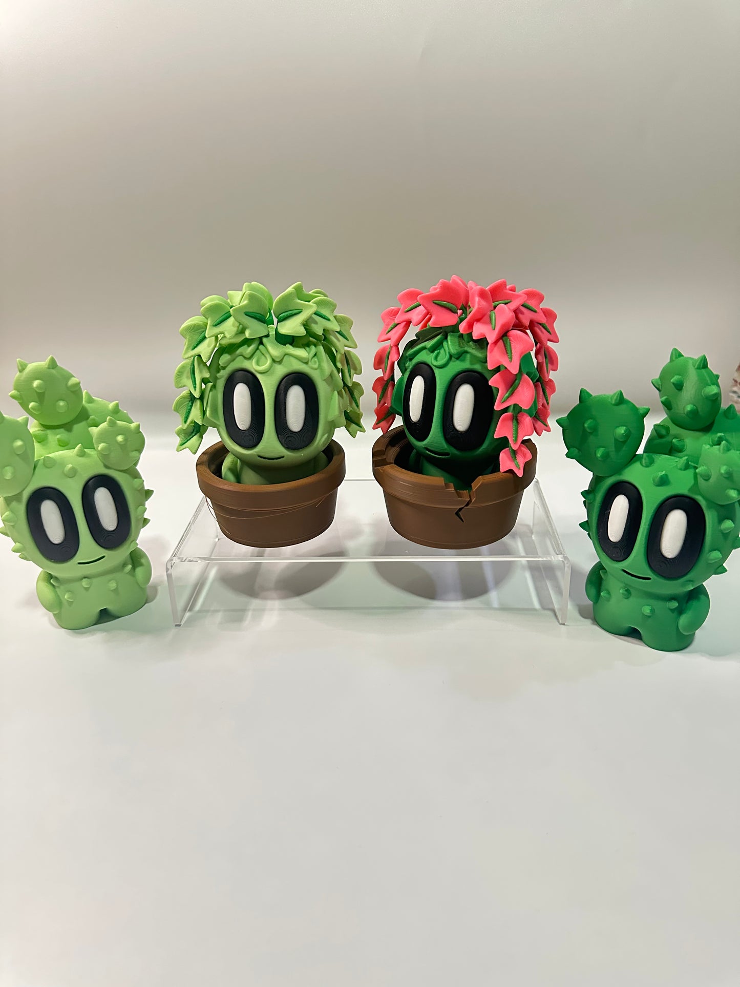 Cute plants set of 2