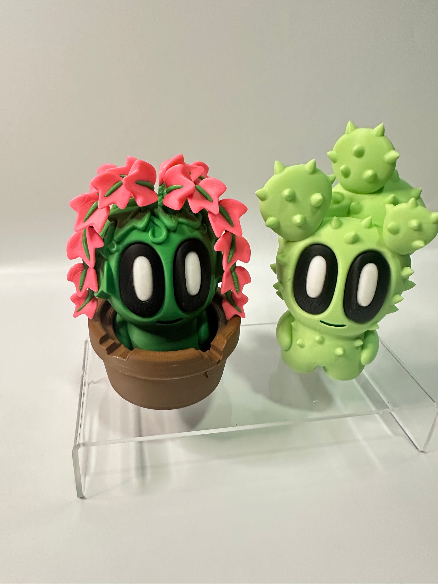 Cute plants set of 2