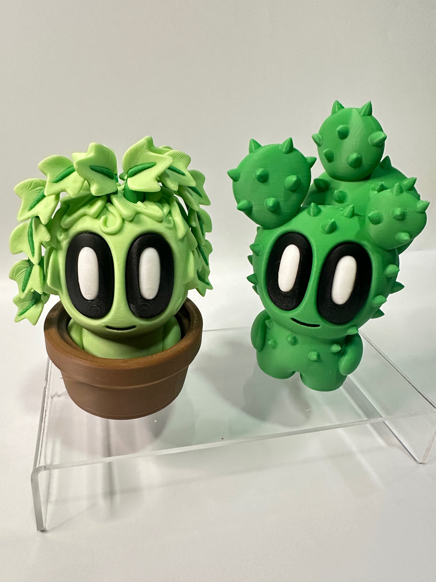 Cute plants set of 2
