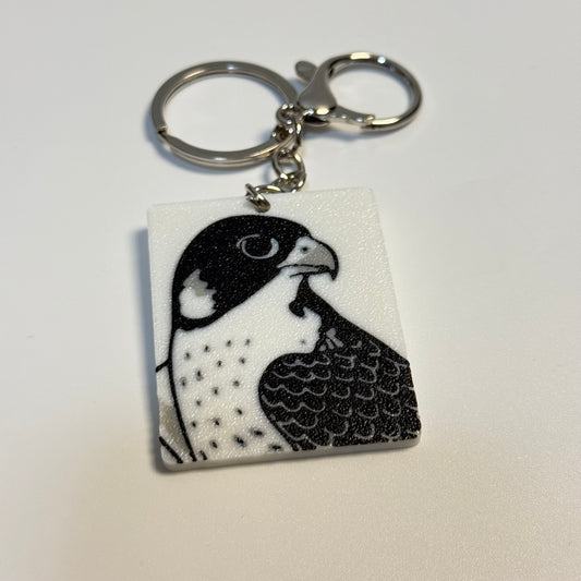 ميدالية صقر