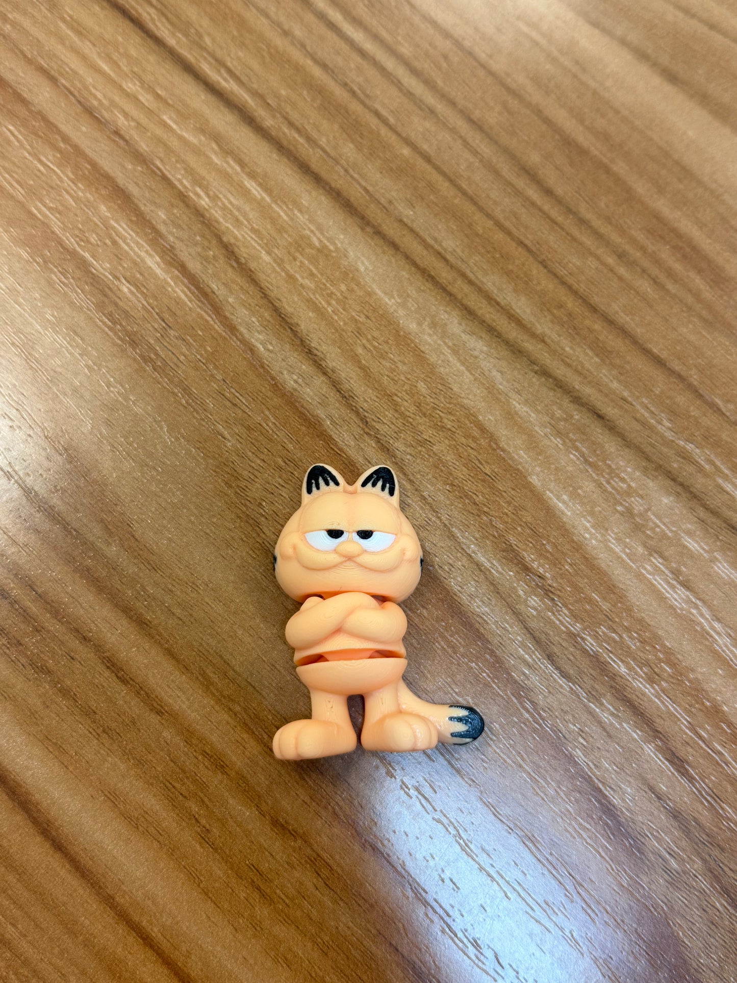 Orange cat