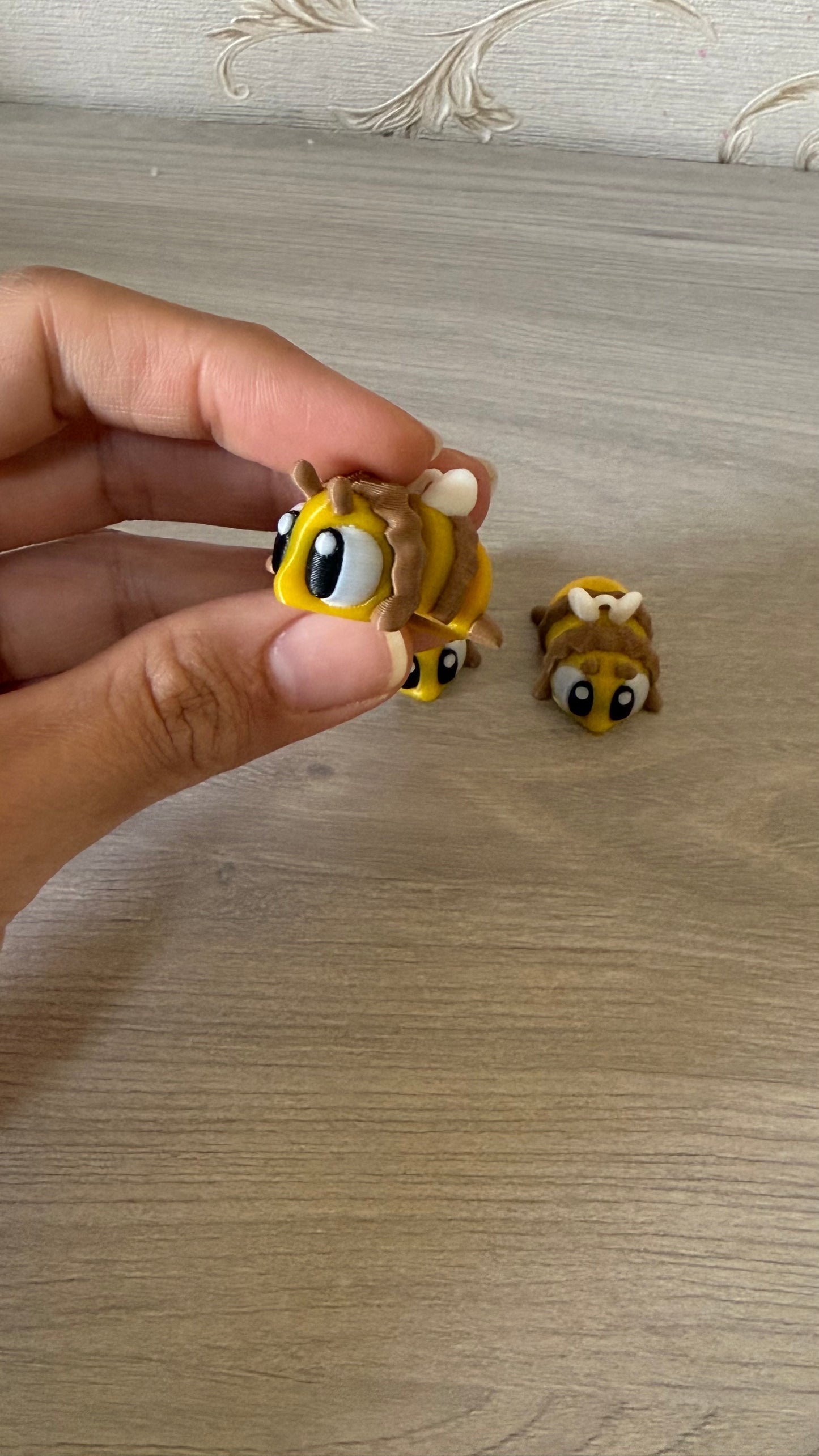 Cuti bee